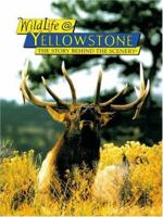 WildLife@Yellowstone: The Story Behind the Scenery 0887141498 Book Cover