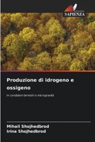 Produzione di idrogeno e ossigeno (Italian Edition) 6209968368 Book Cover