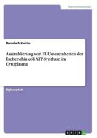 Assemblierung von F1-Untereinheiten der Escherichia coli ATP-Synthase im Cytoplasma 3656082529 Book Cover