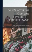 Das Practische Gemeine Civilrecht, Dritter Band 101838281X Book Cover
