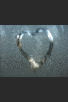 Rain B084DHWWTJ Book Cover