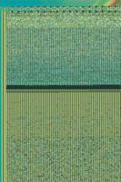 Blackberry Sponge with Custard 1493100424 Book Cover