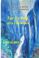 SUR LES TOITS DES CHEMINS (French Edition) B0CR81B3HK Book Cover