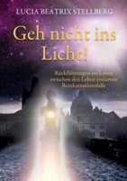 Geh nicht ins Licht!: Rückführungen ins Leben zwischen den Leben entlarven Reinkarnationsfalle (German Edition) 3758322979 Book Cover