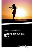 Where an Angel Flew 3710338352 Book Cover