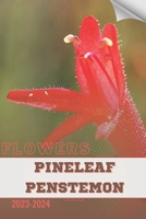 Pineleaf Penstemon: Become flowers expert B0CQTTLJHJ Book Cover