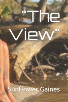"The View" B0B28FL3ML Book Cover