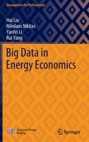 Big Data in Energy Economics 9811689679 Book Cover