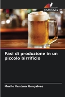 Fasi di produzione in un piccolo birrificio (Italian Edition) 6203701440 Book Cover