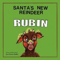 Santa's New Reindeer, Rubin 1426965729 Book Cover