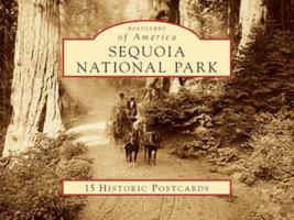 Sequoia National Park: 15 Historic Postcards 0738525456 Book Cover