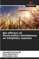 Bio-efficacy of Plectranthus Glandulosus on Sitophilus zeamais 6204415948 Book Cover
