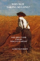WHY IS IT TAKING SO LONG?: Why didn't God just end sin when Satan sinned? B0HC45YFHR Book Cover