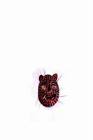 LION: Nietzsche Contra Christ 1411602722 Book Cover