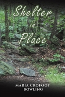 Shelter in Place B0C3DJL9LK Book Cover