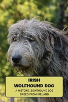 Irish Wolfhound Dog: A Historic Sighthound Dog Breed from Ireland: How Well You Know ABout Irish Wolfhound Dog? B09DJG1D2Q Book Cover