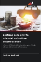 Gestione delle attività aziendali nel settore automobilistico (Italian Edition) 6208091233 Book Cover
