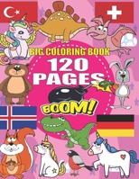 BIG COLORING BOOK: +120 Pages, Best coloring book for kids for ages 4 - 8, 4 BOOKS IN ONE awesome, Easy, LARGE, GIANT and Simple B0915HG3B2 Book Cover