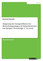 Steigerung der Energieeffizienz bei Beleuchtungsanlagen im Industriebereich. Das Beispiel "Ferrybridge 2 " in Leeds (German Edition) 3346204812 Book Cover