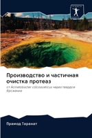 Производство и частичная очистка протеаз 6202633743 Book Cover