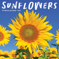 Sunflowers 2025 12 X 12 Wall Calendar 1549245031 Book Cover