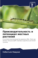 Производительность и по& 6205369370 Book Cover