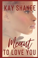 Meant to Love You B08R8ZZ623 Book Cover