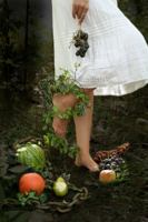 At War with the Wind: The Fight for Abigail null Book Cover