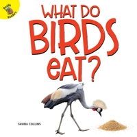 What Do Birds Eat? 1641561556 Book Cover