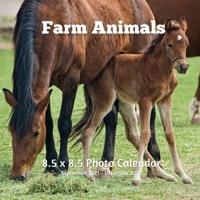 Farm Animals 8.5 X 8.5 Calendar September 2021 -December 2022: Monthly Calendar with U.S./UK/ Canadian/Christian/Jewish/Muslim Holidays- Animal Nature B08YHVVMG2 Book Cover