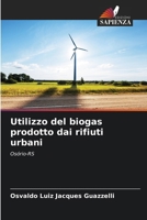 Utilizzo del biogas prodotto dai rifiuti urbani 6207255291 Book Cover