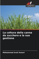 La coltura della canna da zucchero e la sua gestione 6205646137 Book Cover