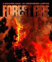 Forest Fire, Lampton 4-6 (Disaster! Book) 1562947796 Book Cover