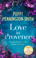 Love in Provence (True Love Travels) 1036702332 Book Cover