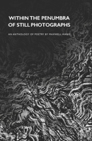 Within the Penumbra of Still Photographs B0FDFJKQP5 Book Cover