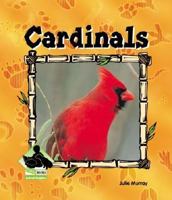 Cardinals (Animal Kingdom) 1577657047 Book Cover