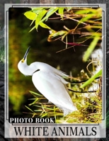 White Animals Photo Book: Collection Of 40 Stunning Images Featuring Incredible Creatures In White Fur And Feathers B0DPRY2NFR Book Cover
