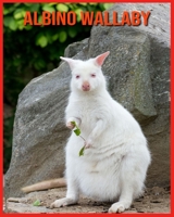 Albino Wallaby: Beautiful Pictures & Interesting Facts Children Book About Albino Wallaby B08W3KS5GW Book Cover