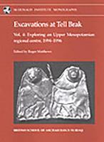 Excavations at Tell Brak 4: Exploring an Upper Mesopotamian Regional Centre, 1994-1996 (Monograph Series) 1902937163 Book Cover