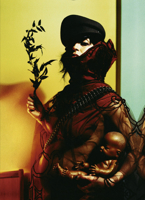 Immune 3899550692 Book Cover