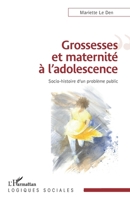 Grossesses et maternité à l'adolescence: Socio-histoire d'un problème public (Logiques Sociales) (French Edition) 234304435X Book Cover