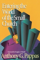 Entering the World of the Small Church 1566992362 Book Cover