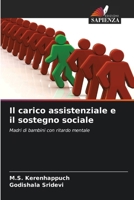 Il carico assistenziale e il sostegno sociale (Italian Edition) 6209935516 Book Cover