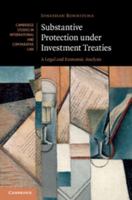 Substantive Protection Under Investment Treaties: A Legal and Economic Analysis 110761595X Book Cover