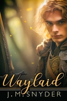 Waylaid B0DPN91C39 Book Cover