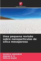 Uma pequena revisão sobre nanopartículas de sílica mesoporosa 6206117227 Book Cover