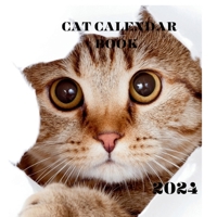 2024 Calendar Book Featuring Serene Cats in Cozy Moments: 2024 Calendar Book B0CNPNK37W Book Cover