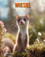 Wiesel: Buch mit erstaunlichen Fotos und lustigen Fakten für Kinder B0CF4BFBSM Book Cover