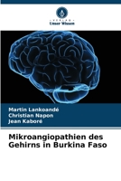 Mikroangiopathien des Gehirns in Burkina Faso 620595933X Book Cover
