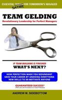 Team Gelding: Revolutionary Leadership for Perfect Managers 1729193080 Book Cover